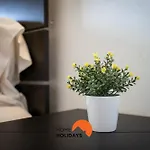 Apartament #149 Rocha